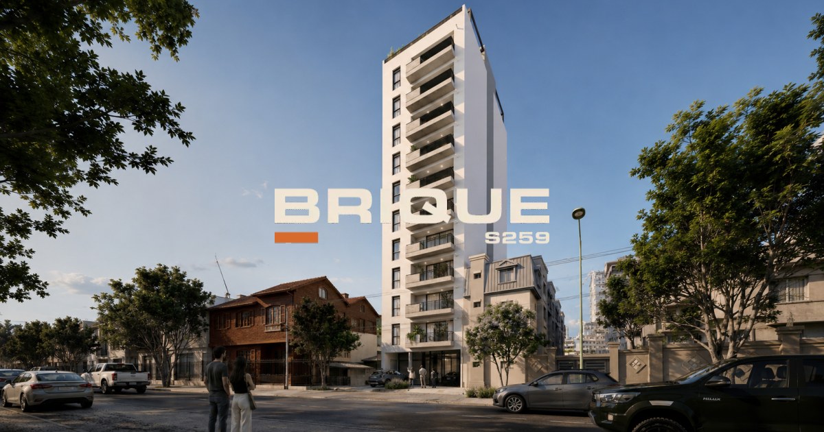 Brique S259